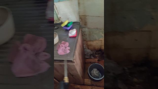 Уничтожение тараканов в коммунальной квартире