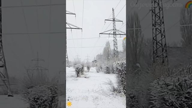 Красивая дада 12.12.24 и красивый день ! Снег ❄️ в Саратове
