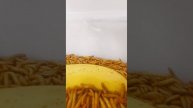 Do Mealworms eat anything? #short #RostixonTime #mealworms