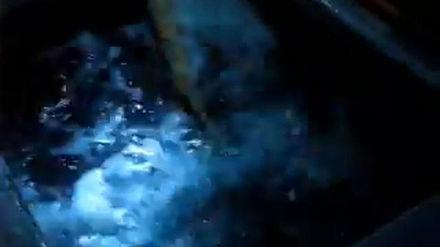 Зарыбились - часть 3