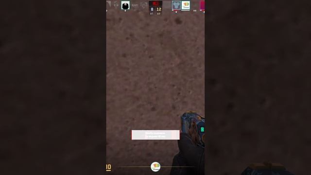 Zeus24121305