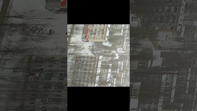 Новый год