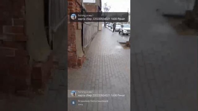 Прямая трансляция fishing и мы !
