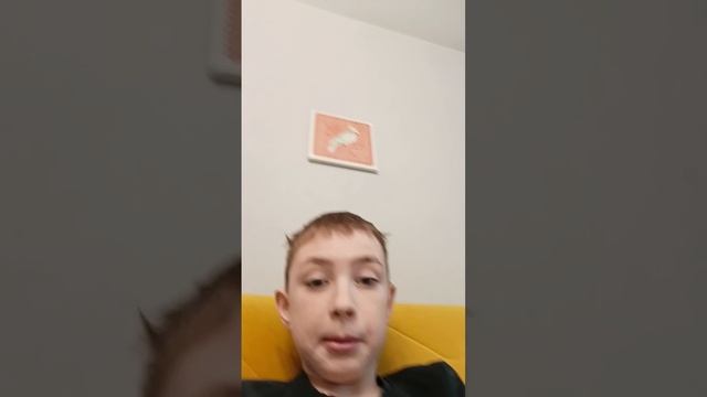 scene_output.mp4