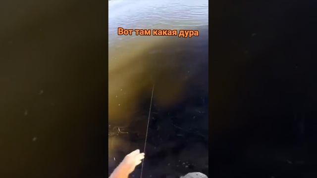 1000014097.mp4