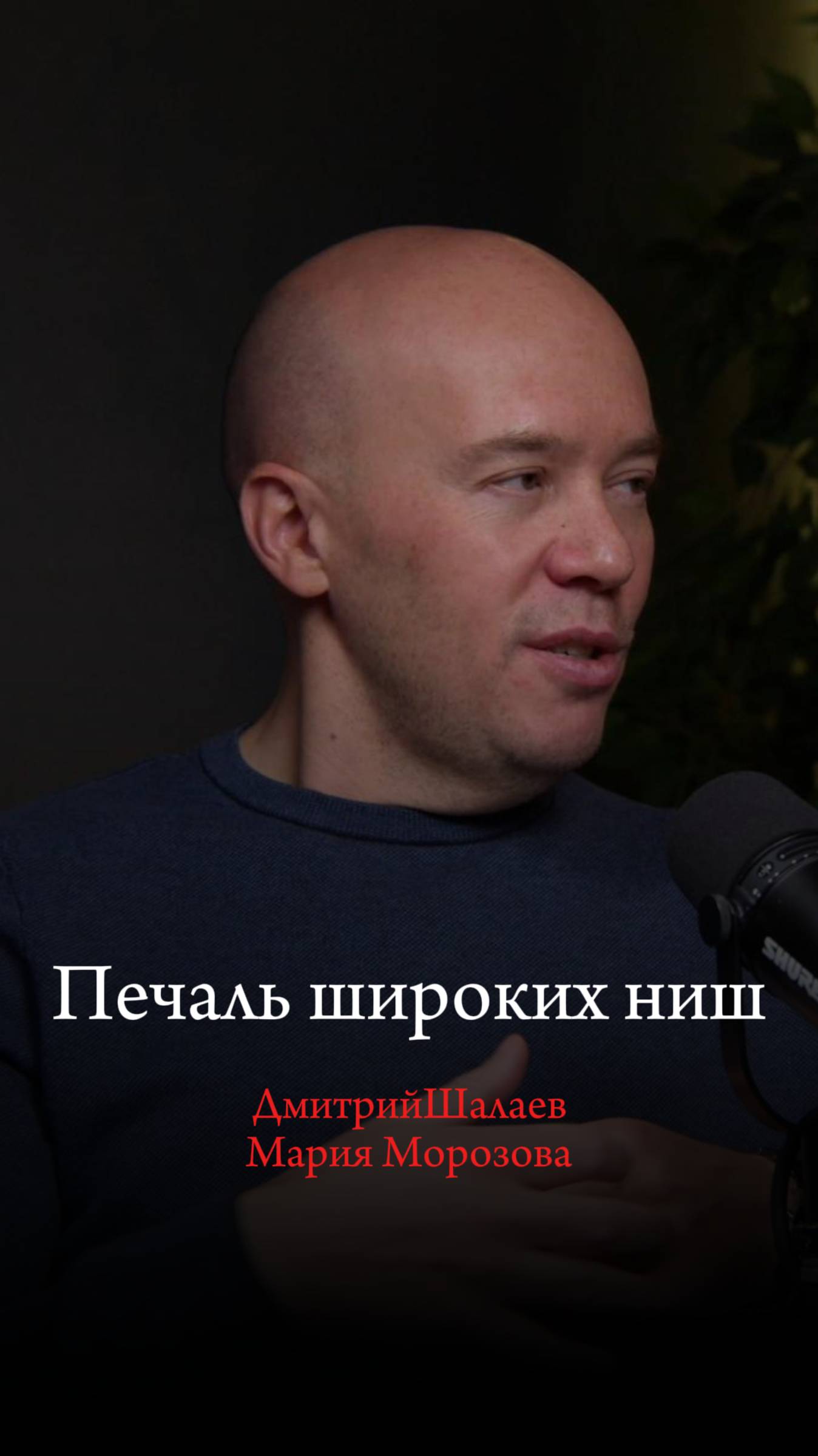 В 2025 году бесполезно идти в широкие ниши, нельзя заработать. Интервью Дмитрия Шалаева