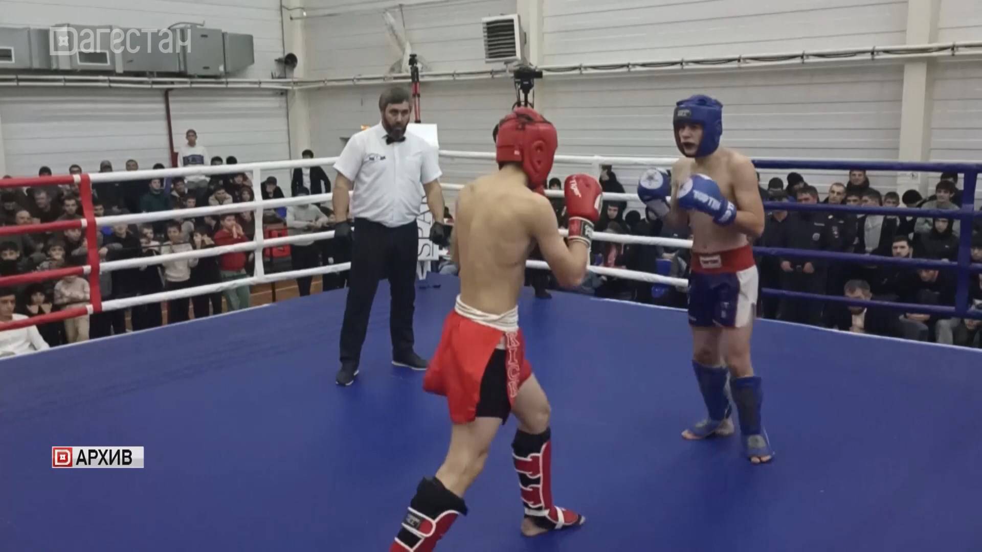 Внутриклубный турнир по грэпплингу прошел в Леваши