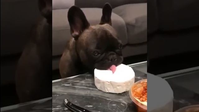 1000023711.mp4