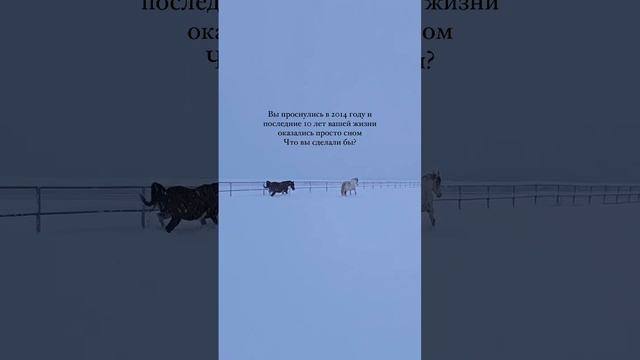 топ
