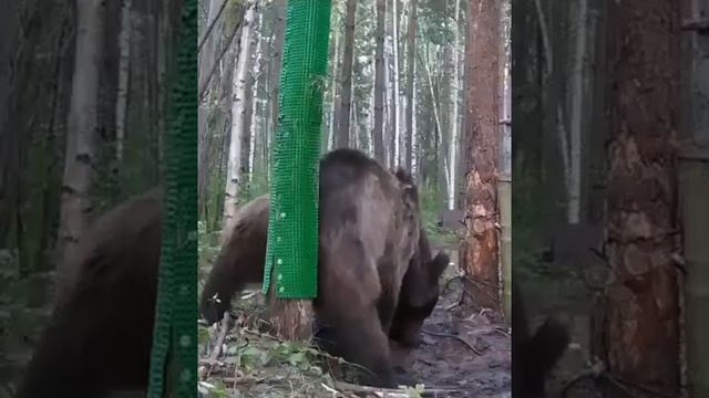 Как просил