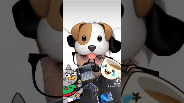 VID-20241201-WA0019.mp4
