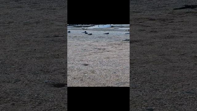 20241213_125411