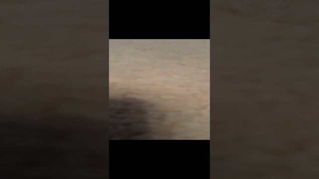31 декабря .серия 6