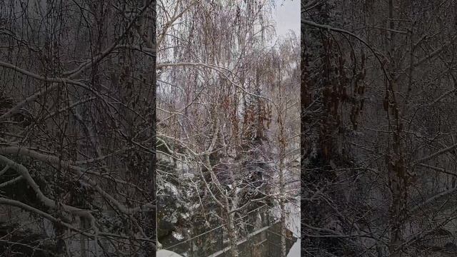 #доброеутро #зима