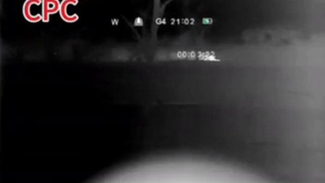 Засада на стайку секачей от воинов из Бурятии  Свинорез под Газманова.