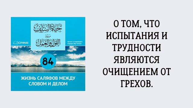 84. Жизнь саляфов между словом и делом // Сирадж Абу Тальха