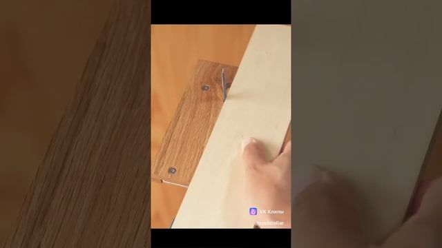 1000016193.mp4