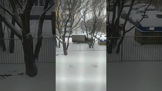 VID-20241213-WA0001