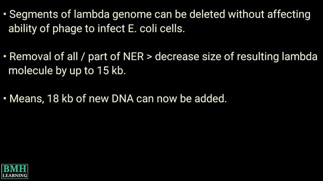 Lambda Phage Vector | Gene Cloning Using Lambda Phage Vector | lambda Cloning Vector |