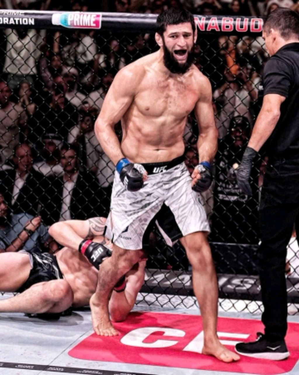 UFC 311