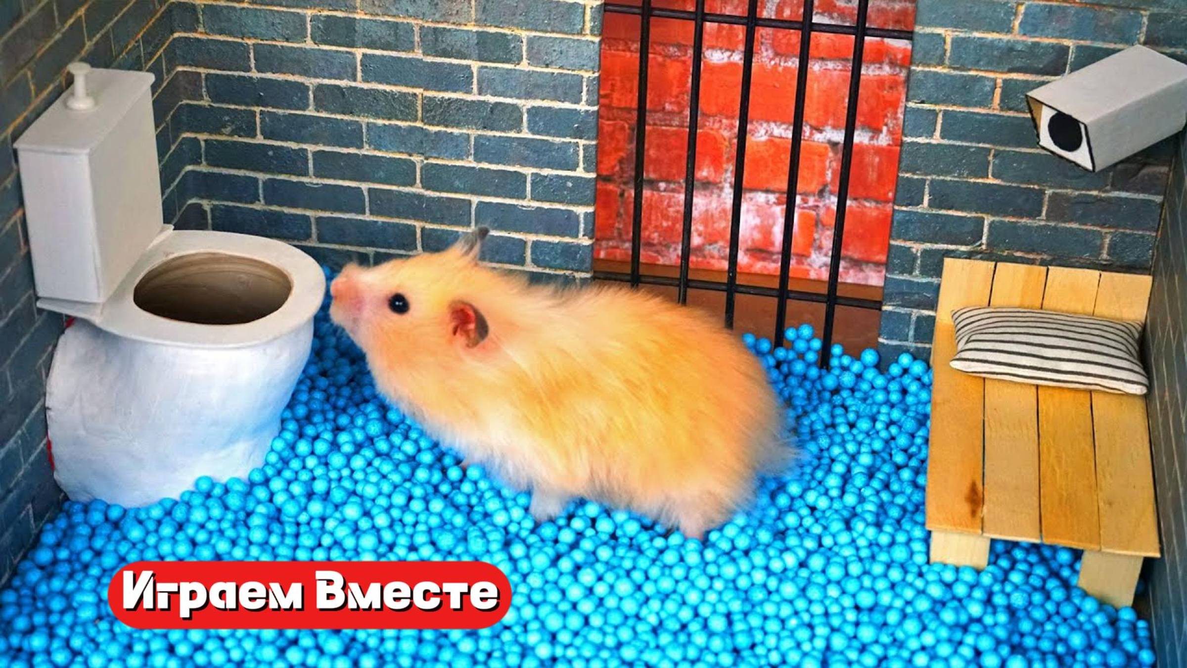 Вместе с хомяком выбираемся из СЛОЖНЕЙШЕГО ЛАБИРИНТА С ПРЕПЯТСТВИЯМИ !