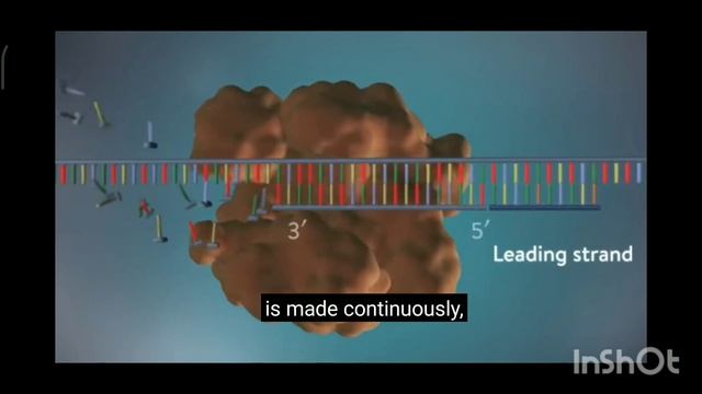 DNA REPLICATION @ B. BAKLY