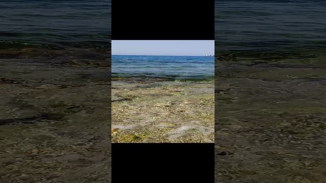 VID_20240520_092956.mp4