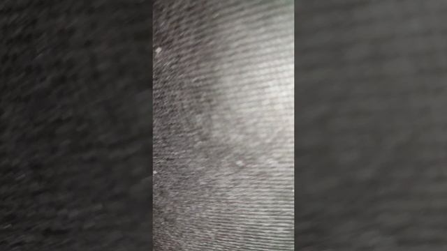 Травля клопов в квартире