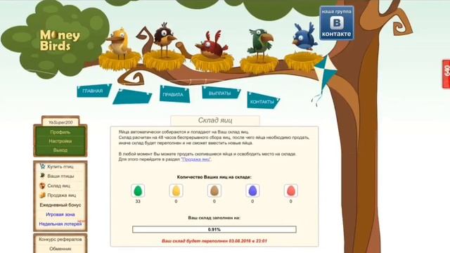 Rich Birds (рич бердс) и Money Birds (моней бердс) Сравнение проектов