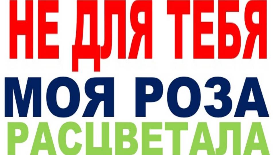 НЕ ДЛЯ ТЕБЯ МОЯ РОЗА РАСЦВЕТАЛА-11