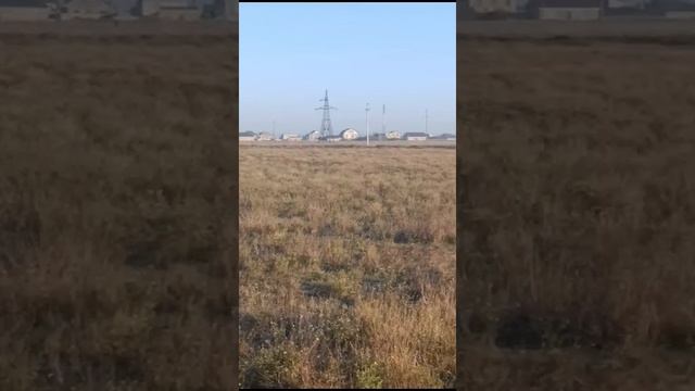 Лиманное