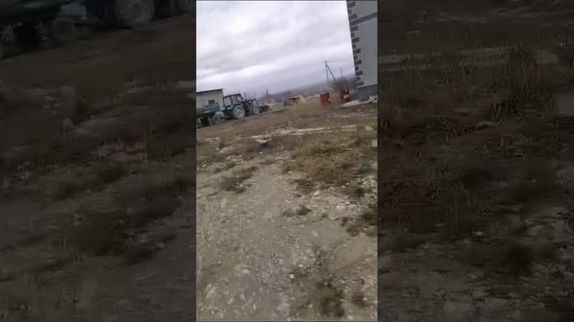 WhatsApp Video 2024-12-13 at 11.54.55