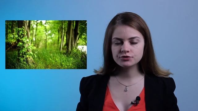 6 Природознавство 5 клас цікавий факт