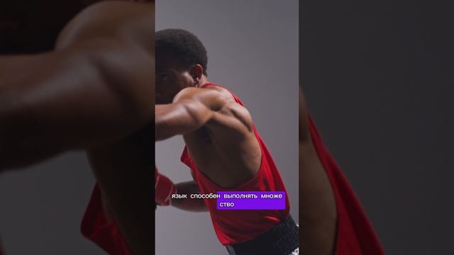 Люди затрачивают больше 5 лет жизни на приготовление пищи???