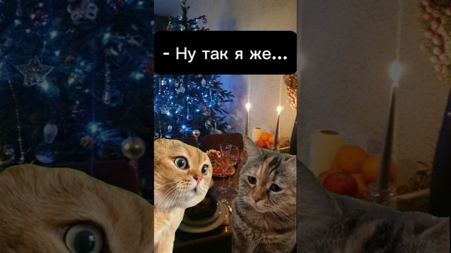 Котики которые в тренде. Новый год #юмор #смешныеистории #мемы #смешныекотики #новыйгод