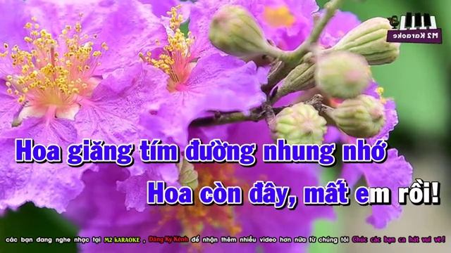 Karaoke Đường Tím Bằng Lăng Tone Nam