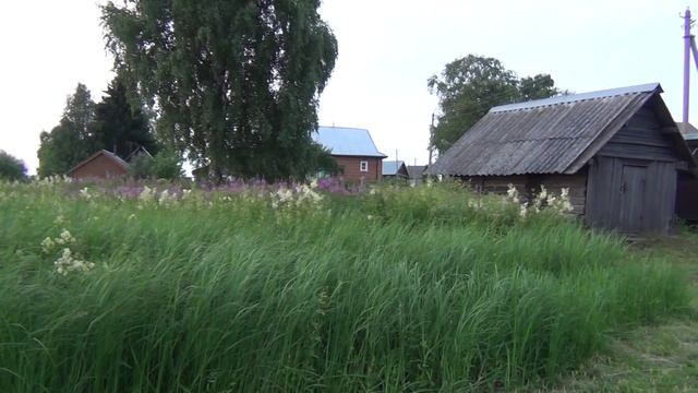 vatravel.ru Озеро Иткольское (Вологодская обл)