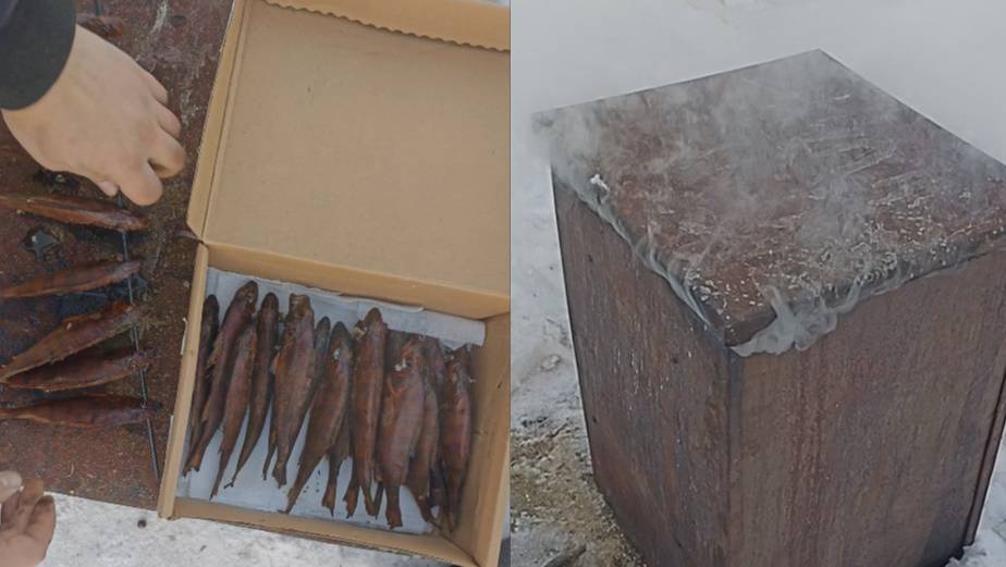 Копчение рыбы (Окунь) зимой первый опыт