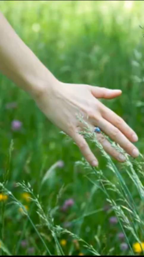 #shorts Зоя Ященко - А завтра будет июль