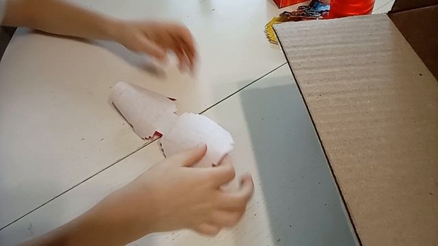 VID_20241213_125955