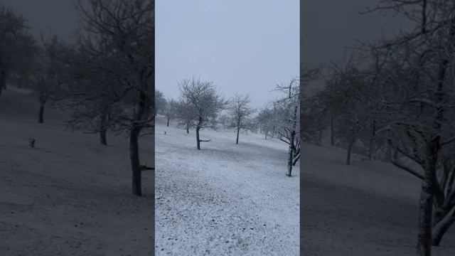 Прогулка в холодную погоду 🤭