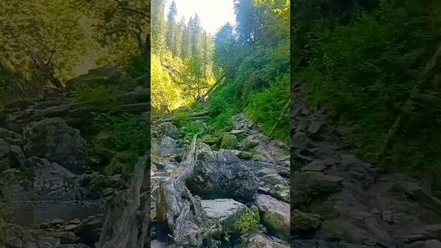 Красивая горная речка с каскадами водопадов