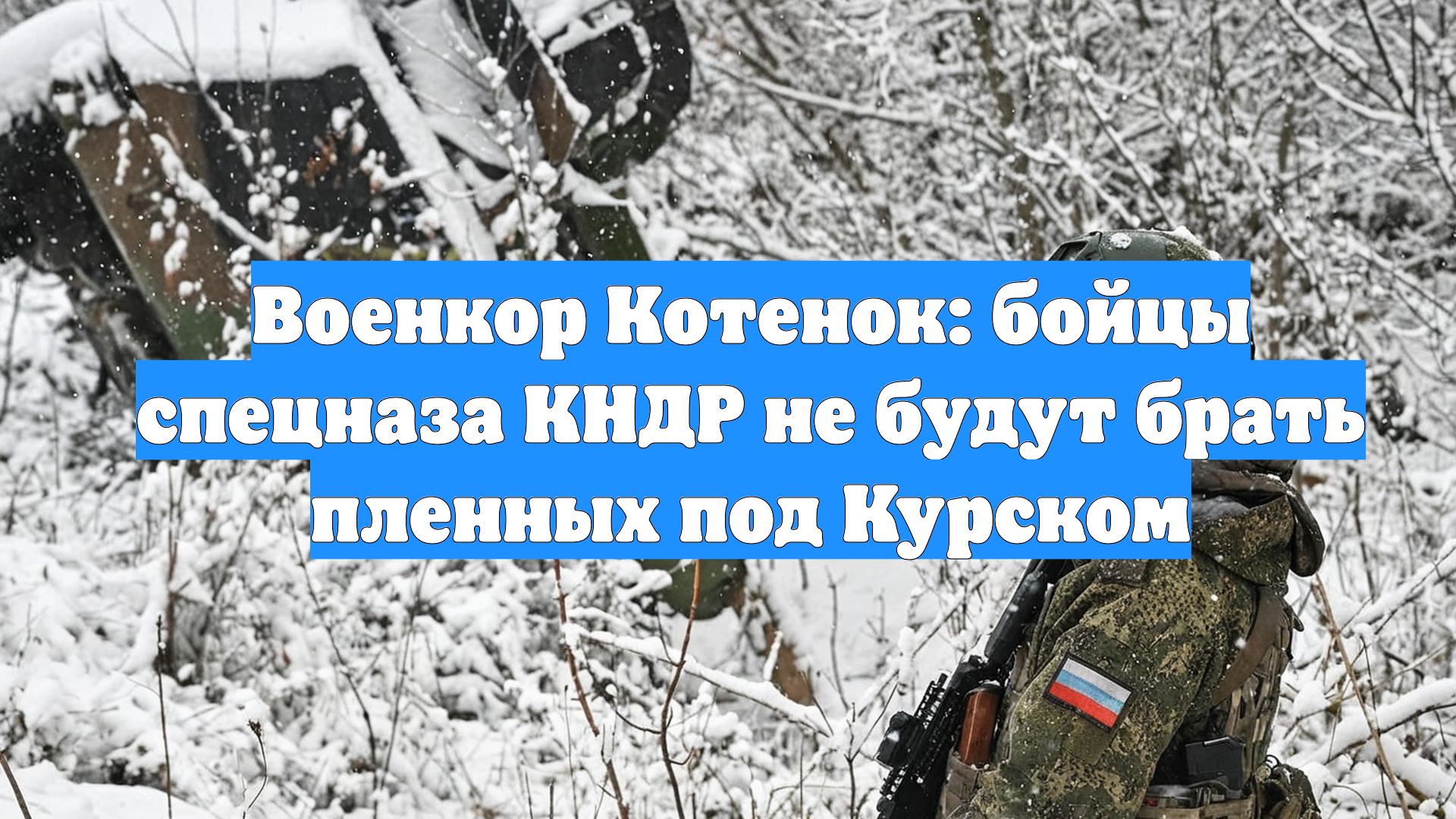 Военкор Котенок: бойцы спецназа КНДР не будут брать пленных под Курском