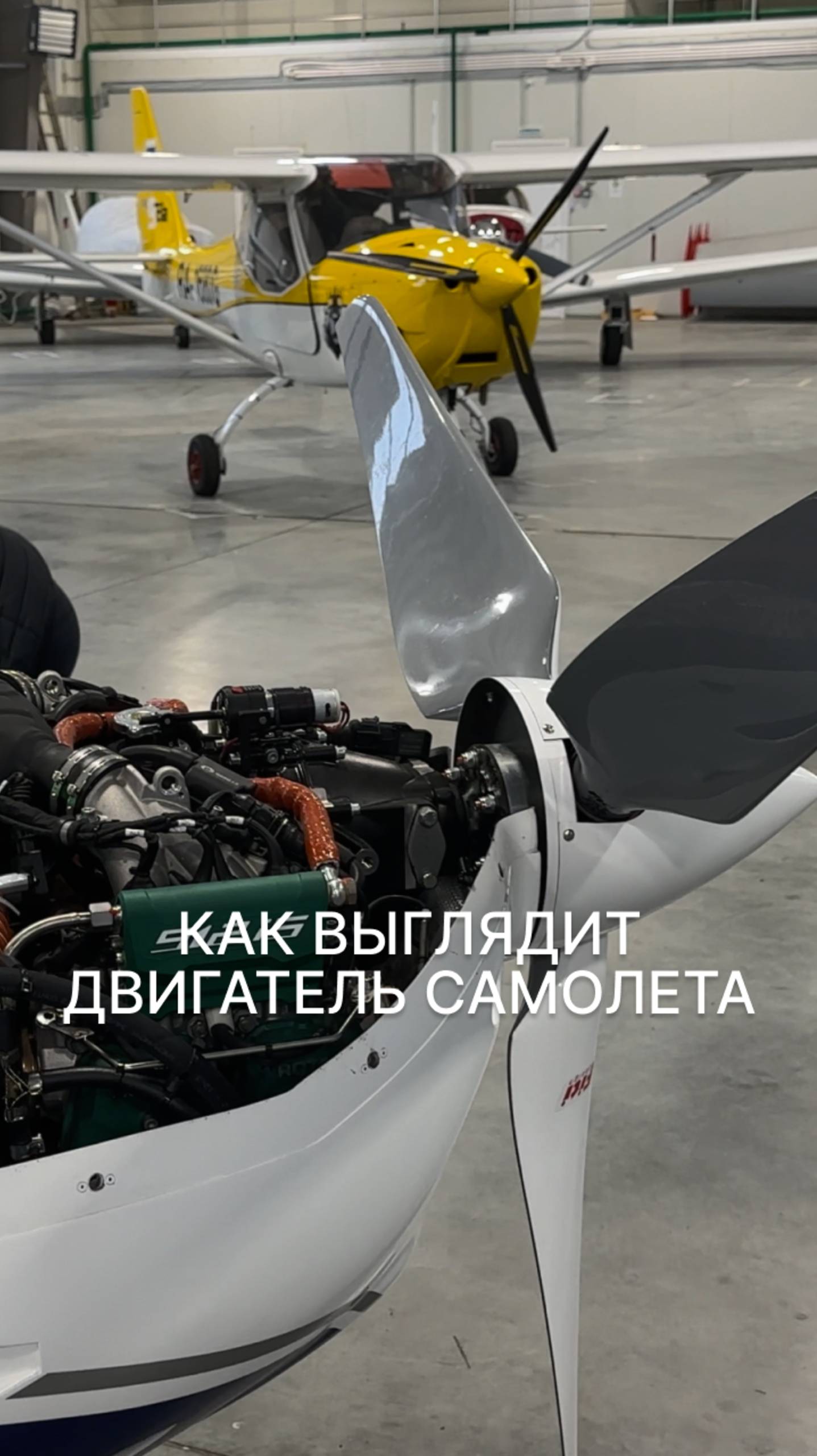 КАК ВЫГЛЯДИТ ДВИГАТЕЛЬ САМОЛЕТА FAETA NG #rotax #двигатель #малаяавиация