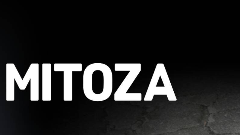 всё ноченалось с семечка (mitoza)