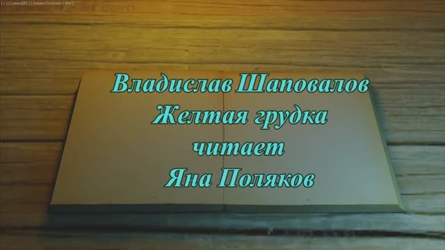 Владислав Шаповалов.  Желтая грудка. Читает Яна Полякова