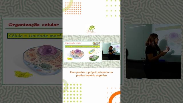 CÉLULAS EUCARIONTES E PROCARIONTES | Biologia da Dani