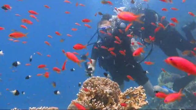 Погружение Марины 2 часть