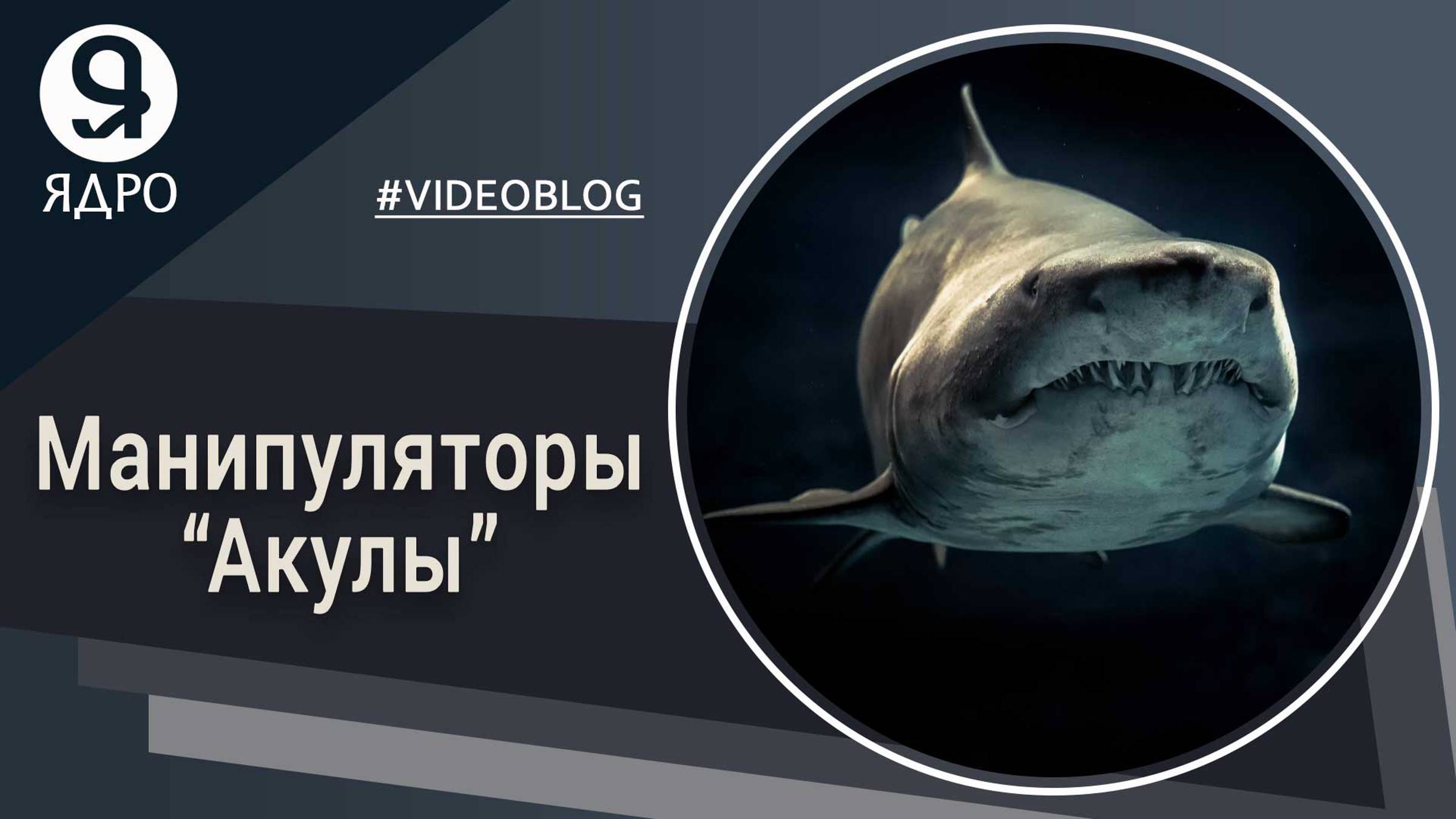 Манипулятор, кто этот человек в психологии и переговорах?
