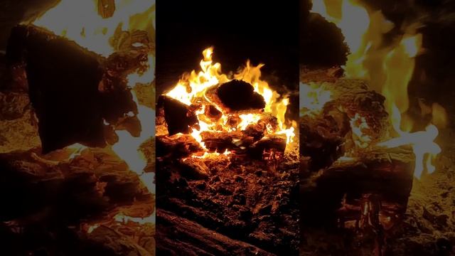 VID_20240921_200136(0)